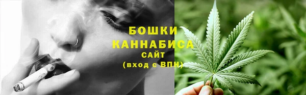 не бодяженный Гусь-Хрустальный