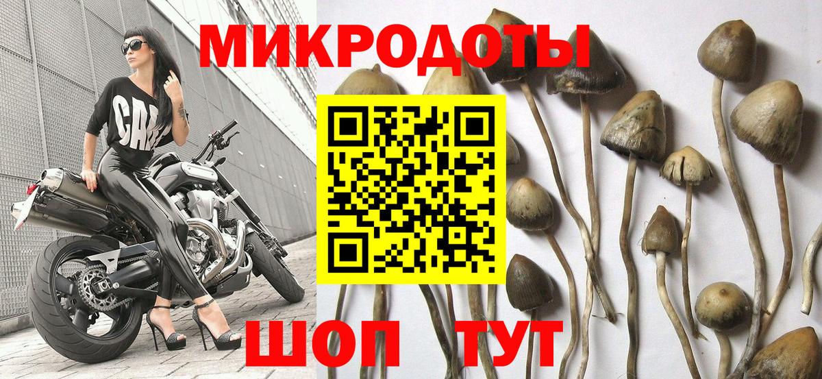 Псилоцибиновые грибы ЛСД  Вход с VPN  Тейково  что такое наркотик  Галлюциногенные грибы Psilocybe 