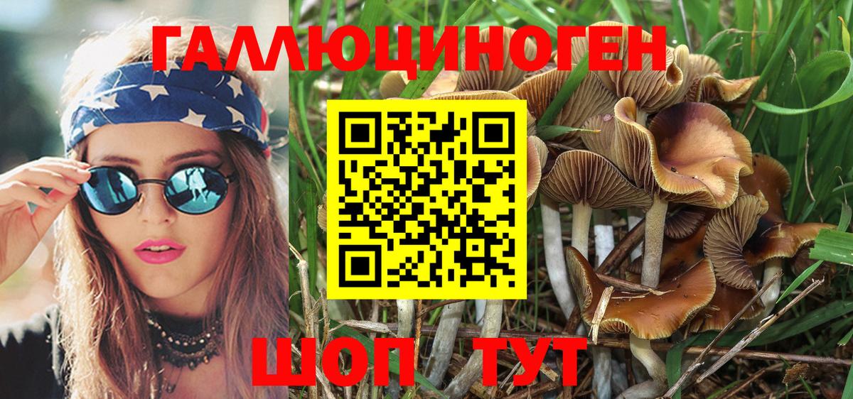Псилоцибиновые грибы Psilocybe Тейково